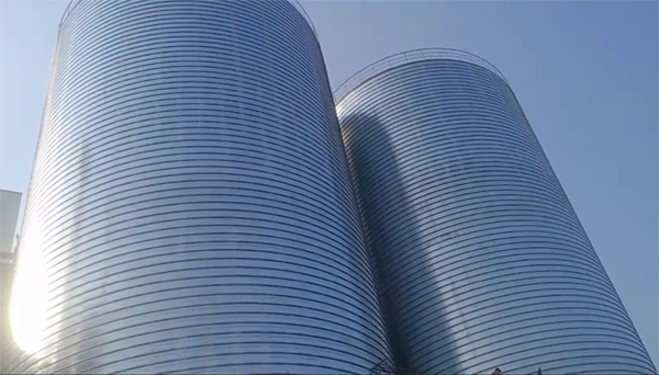 金湾2座混凝土高架卷板仓